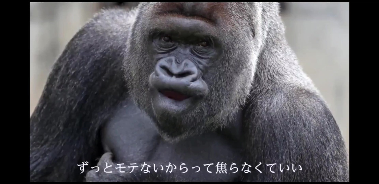 人気の ｋｍnライダー 動画 5 8本 38 ニコニコ動画