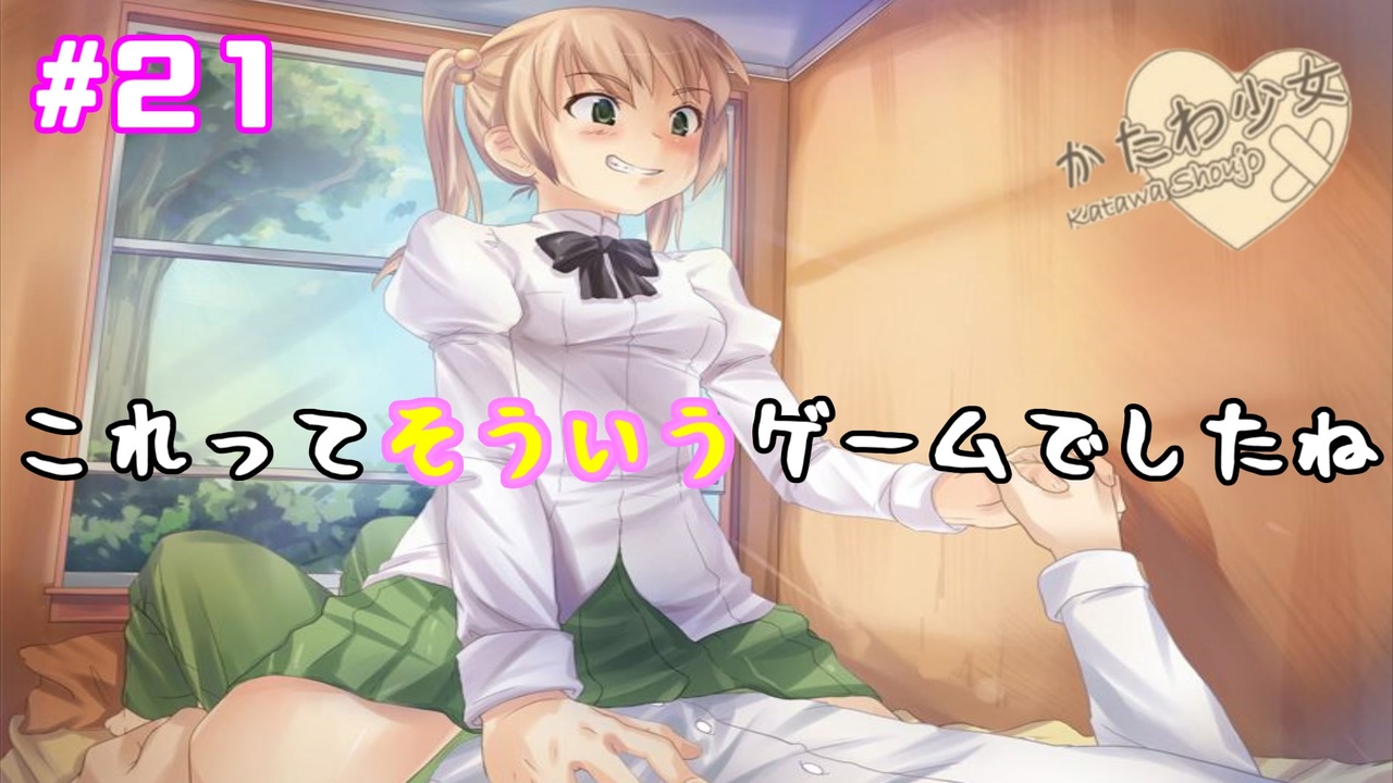 初回限定お試し価格】 かたわ少女katawa shoujo 日本語版 携帯用ゲーム