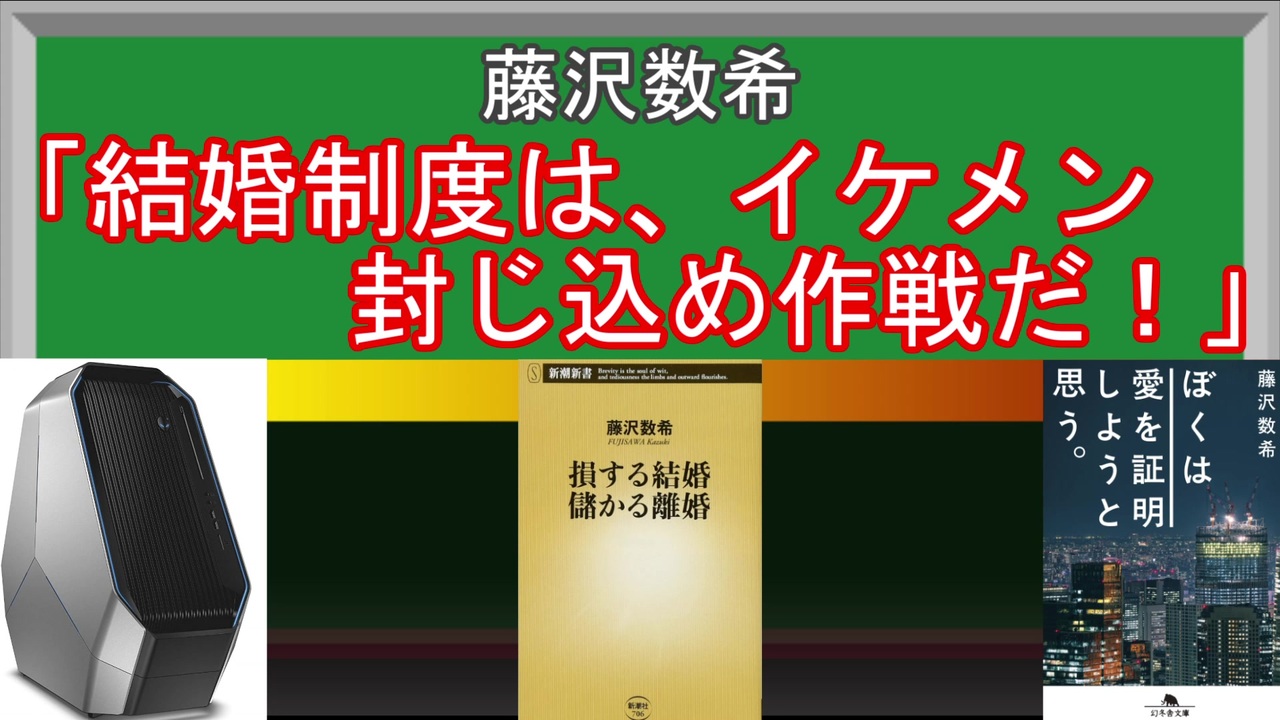 ヤバい著者 結婚はイケメン無効化の制度 婚姻費用の解説おじさん 損する結婚 儲かる離婚 結婚相手の所得を見て編 再編集版 ニコニコ動画