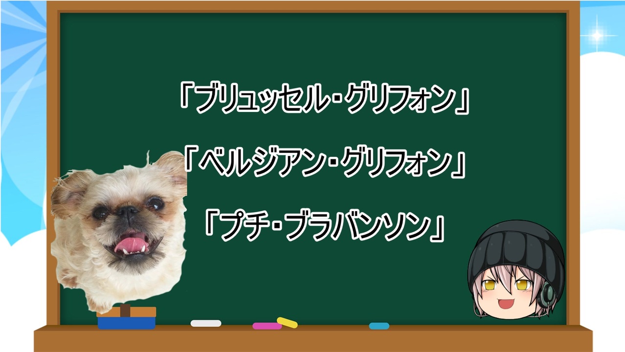 ゆっくり解説 犬種３５ ブリュッセル グリフォン ベルジアン グリフォン プチ ブラバンソン ニコニコ動画