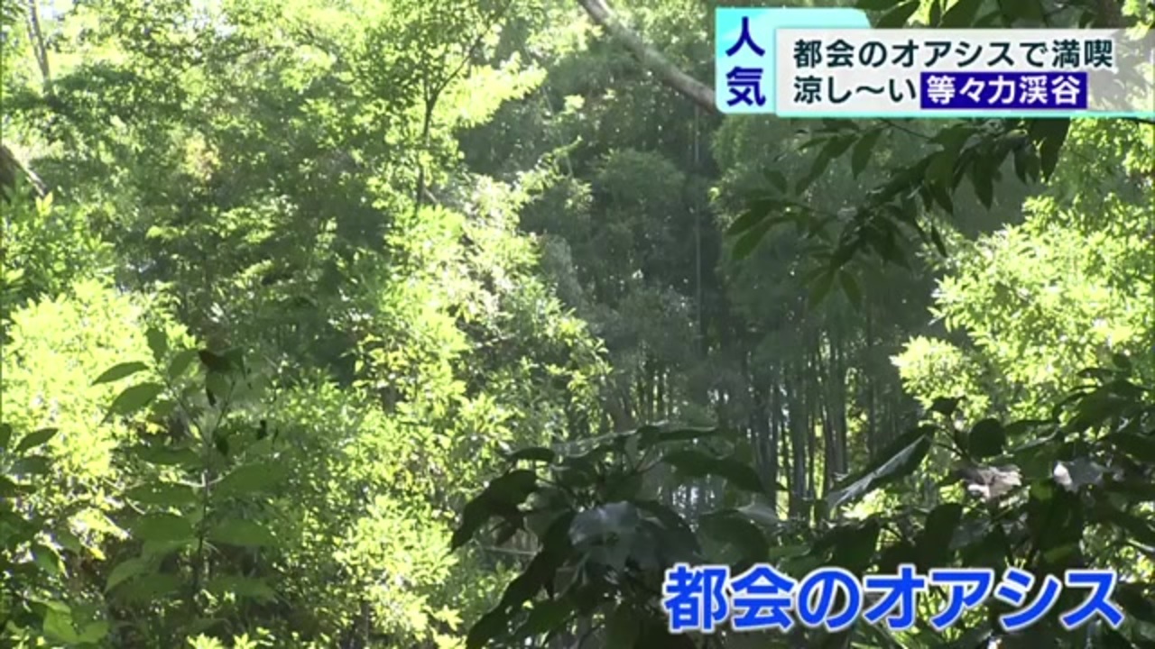 手軽に行ける都会のオアシス 世田谷 等々力渓谷 ニコニコ動画