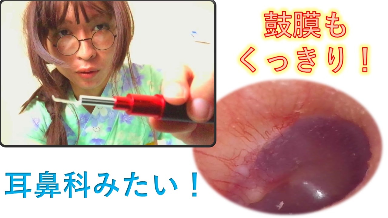 カメラ付き耳かきで鼓膜も鼻の奥もまる見え ニコニコ動画