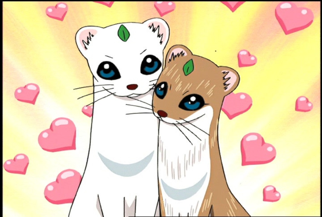 人気の アニメ しあわせソウのオコジョさん 動画 114本 ニコニコ動画