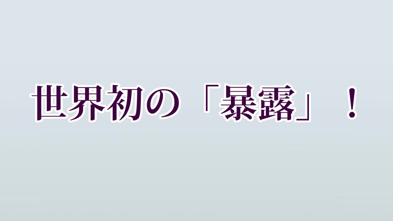 人気の アンネの日記 動画 46本 ニコニコ動画