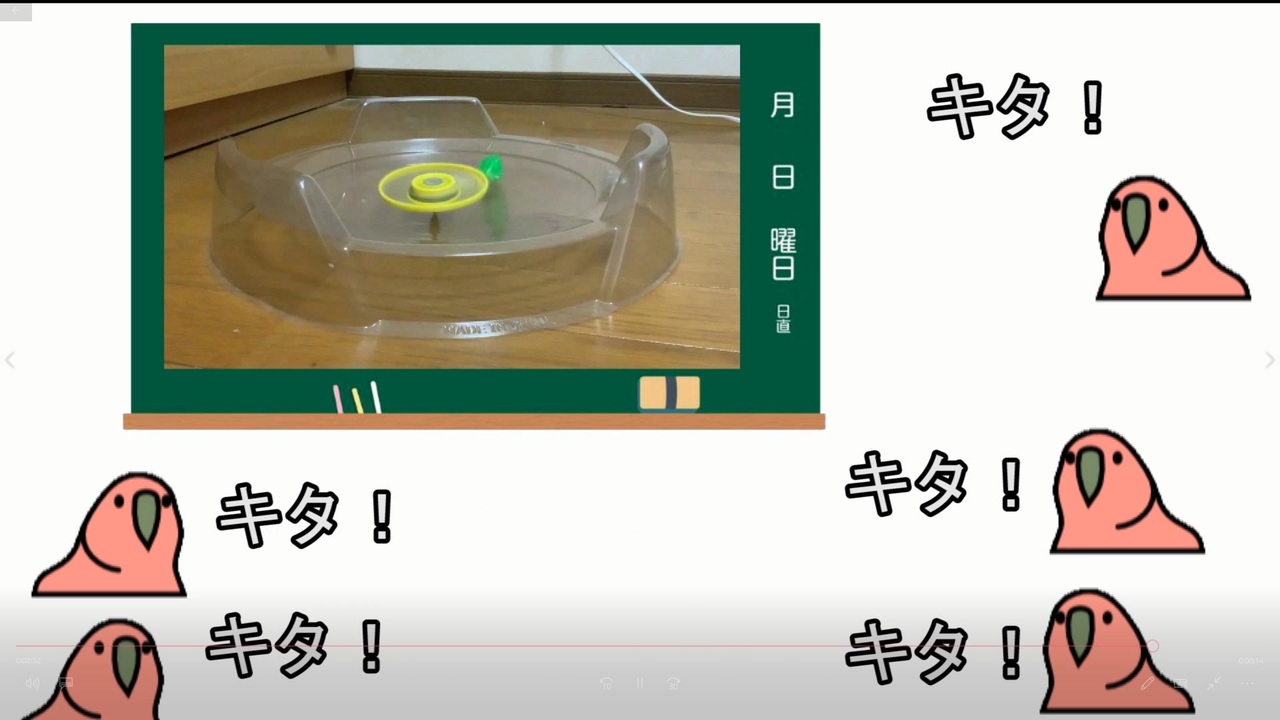 トライピオが本当に最弱なのか確かめるパロット - ニコニコ動画