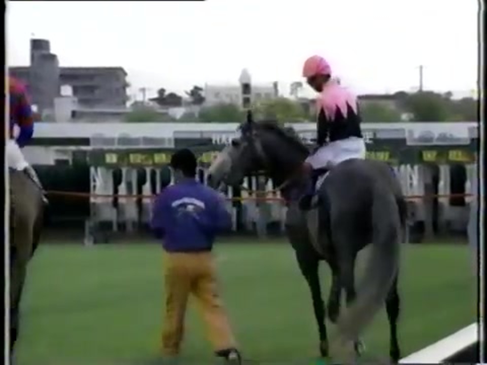 ビワハヤヒデ 木製パネル 1994年天皇賞・春 日刊スポーツ一面写真 競馬 1994 天皇賞(春) ビワハヤヒデ - ニコニコ動画