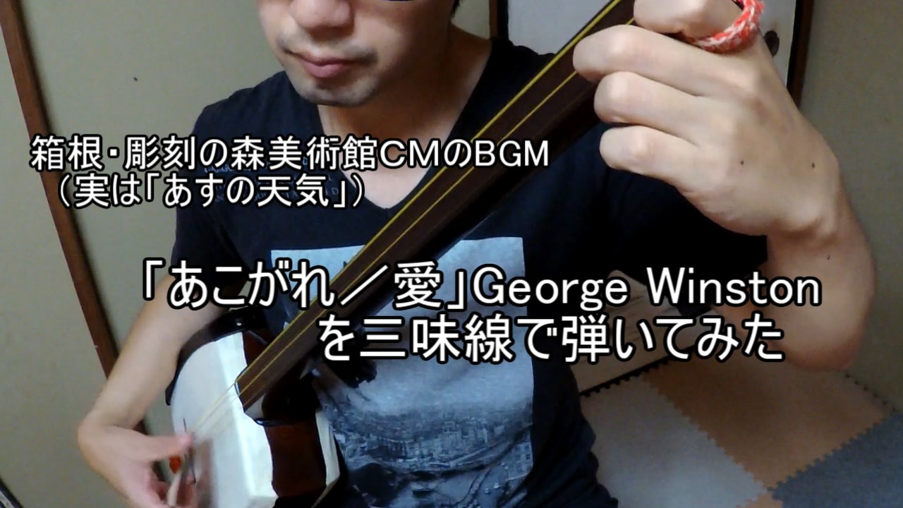 箱根彫刻の森美術館cmのbgm あこがれ 愛 George Winstonを三味線で弾いてみた ピアノ インストの名曲 ニコニコ動画