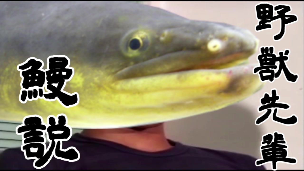 野獣先輩ウナギ説 ニコニコ動画