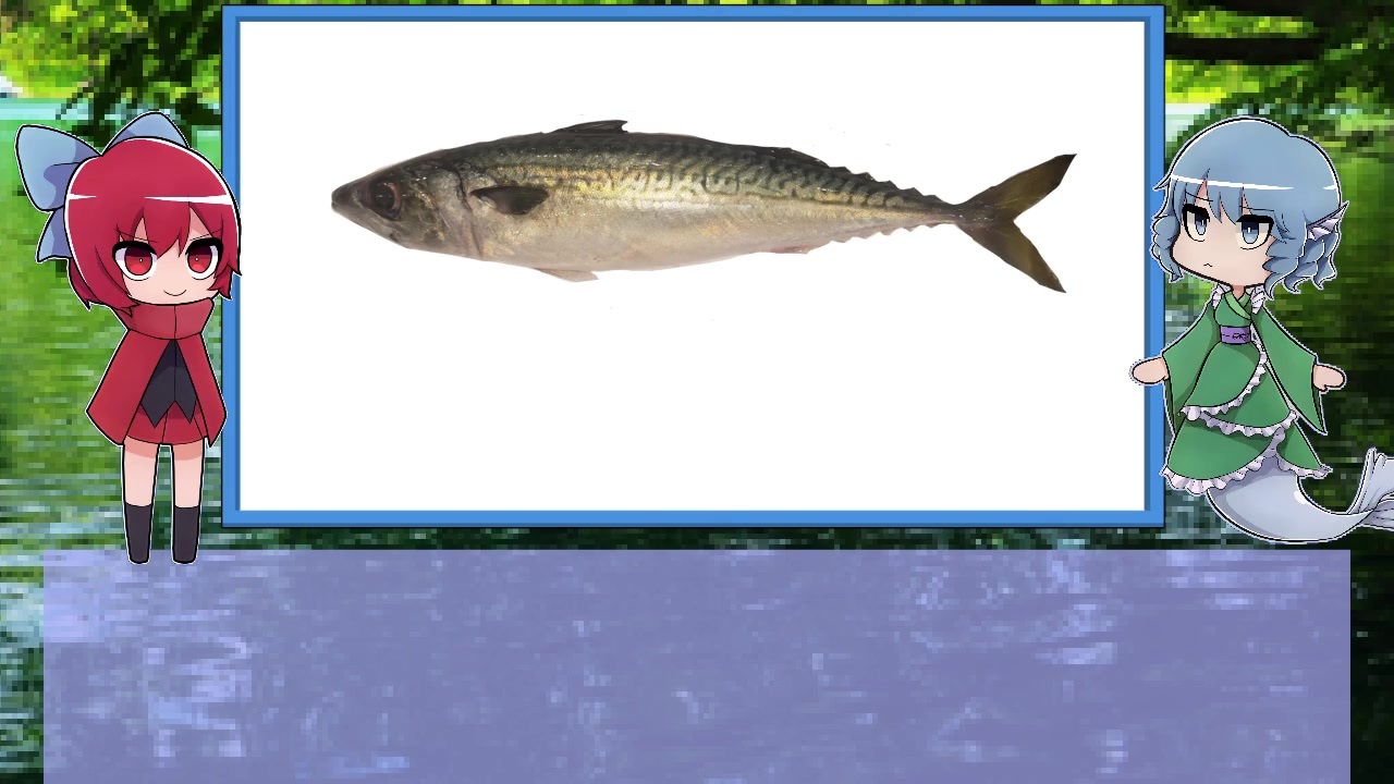 ゆっくり解説 わかさぎ姫が教える魚 23匹目 鯖 ニコニコ動画