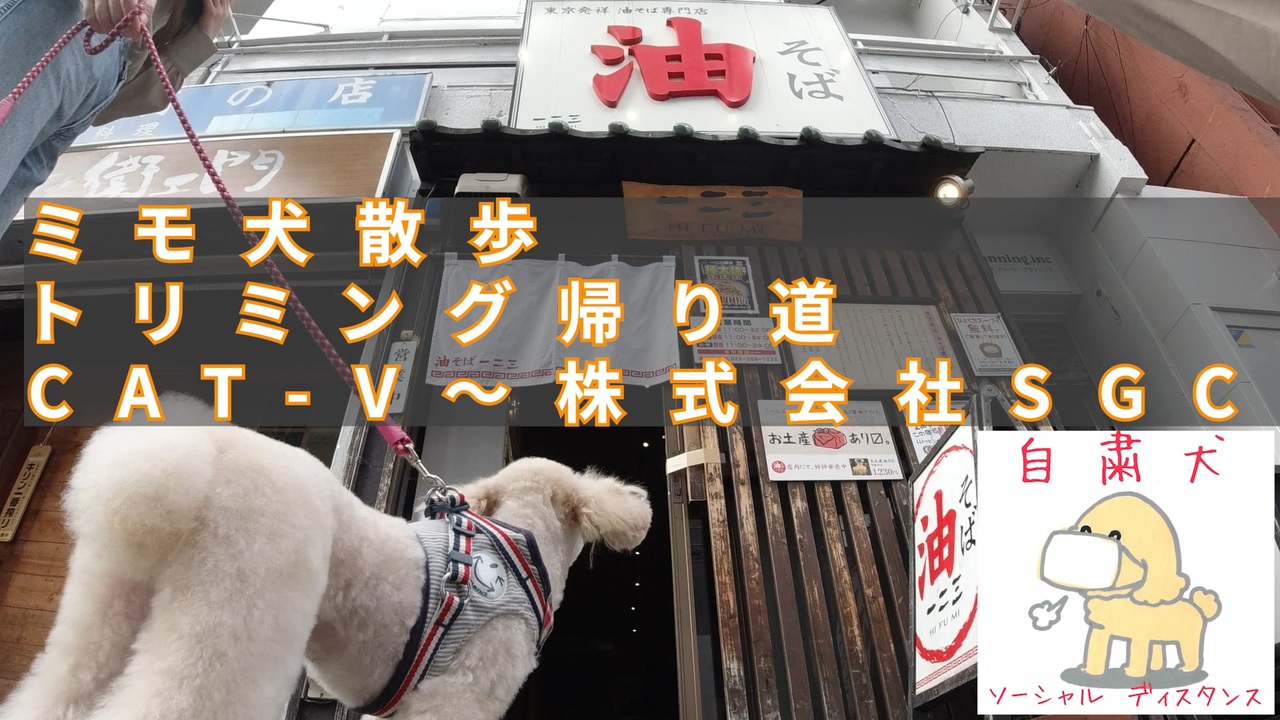 人気の 犬 犬 犬 動画 15 710本 32 ニコニコ動画