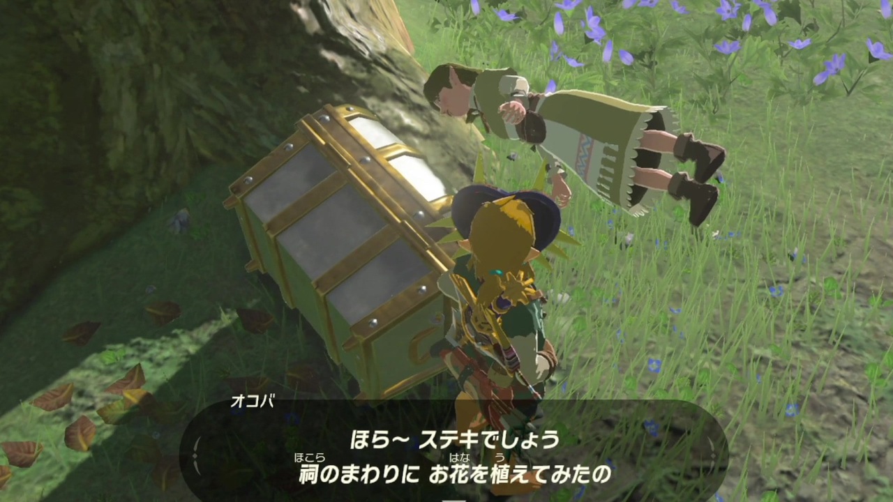 ゼルダ の 伝説 ブレス オブザ ワイルド バグ ピクチャー ニュース