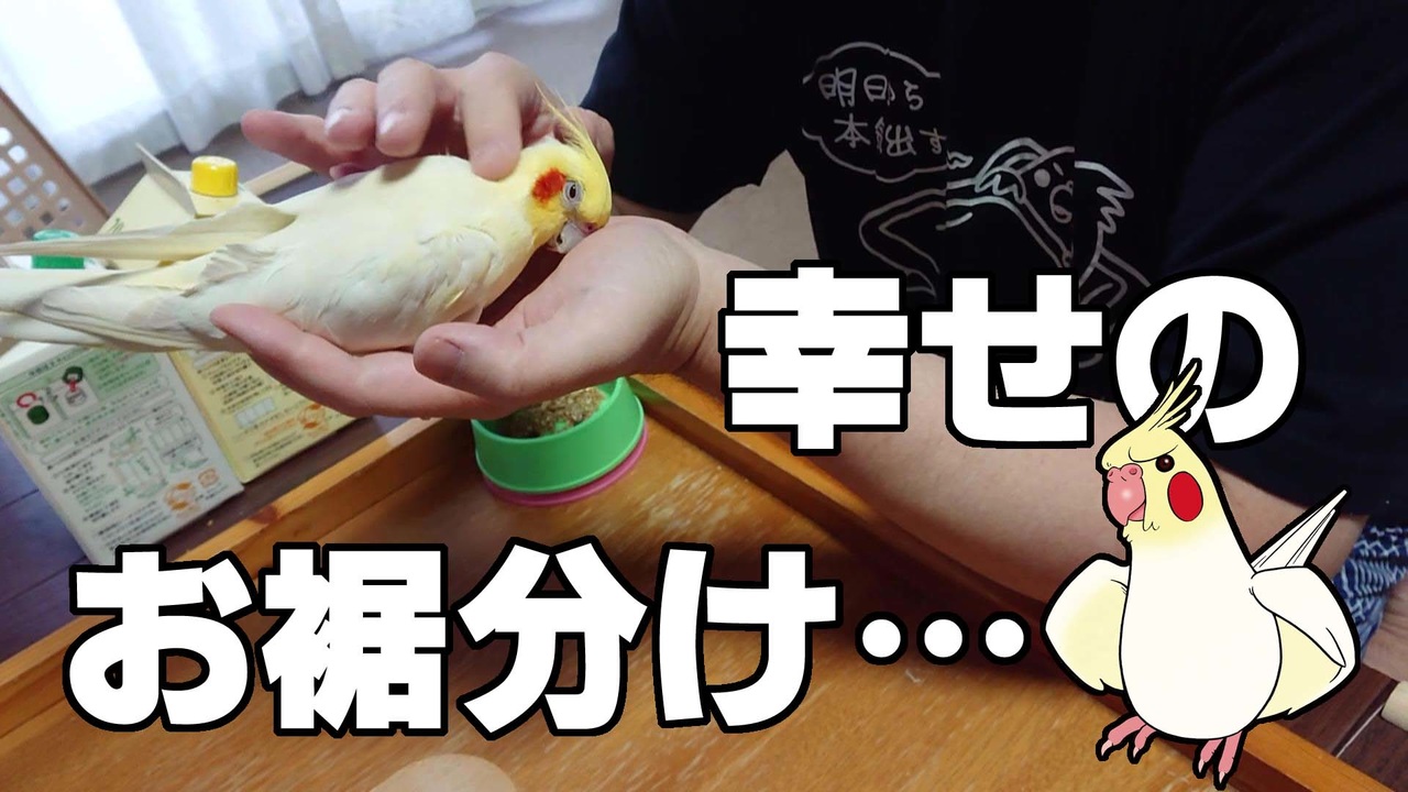 人気の インコ ナデナデ 動画 16本 ニコニコ動画