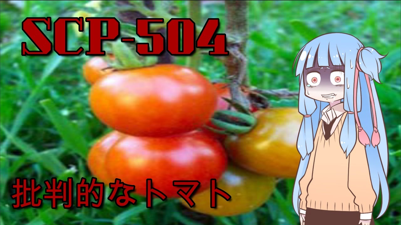 Scp紹介 Scp 504 批判的なトマト Voiceroid劇場 ニコニコ動画