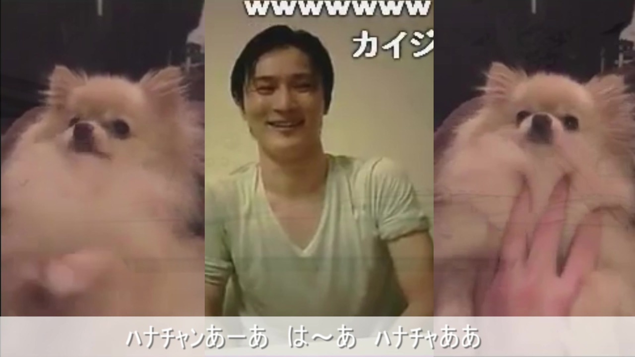 人気の 動物 加藤純一 動画 84本 ニコニコ動画