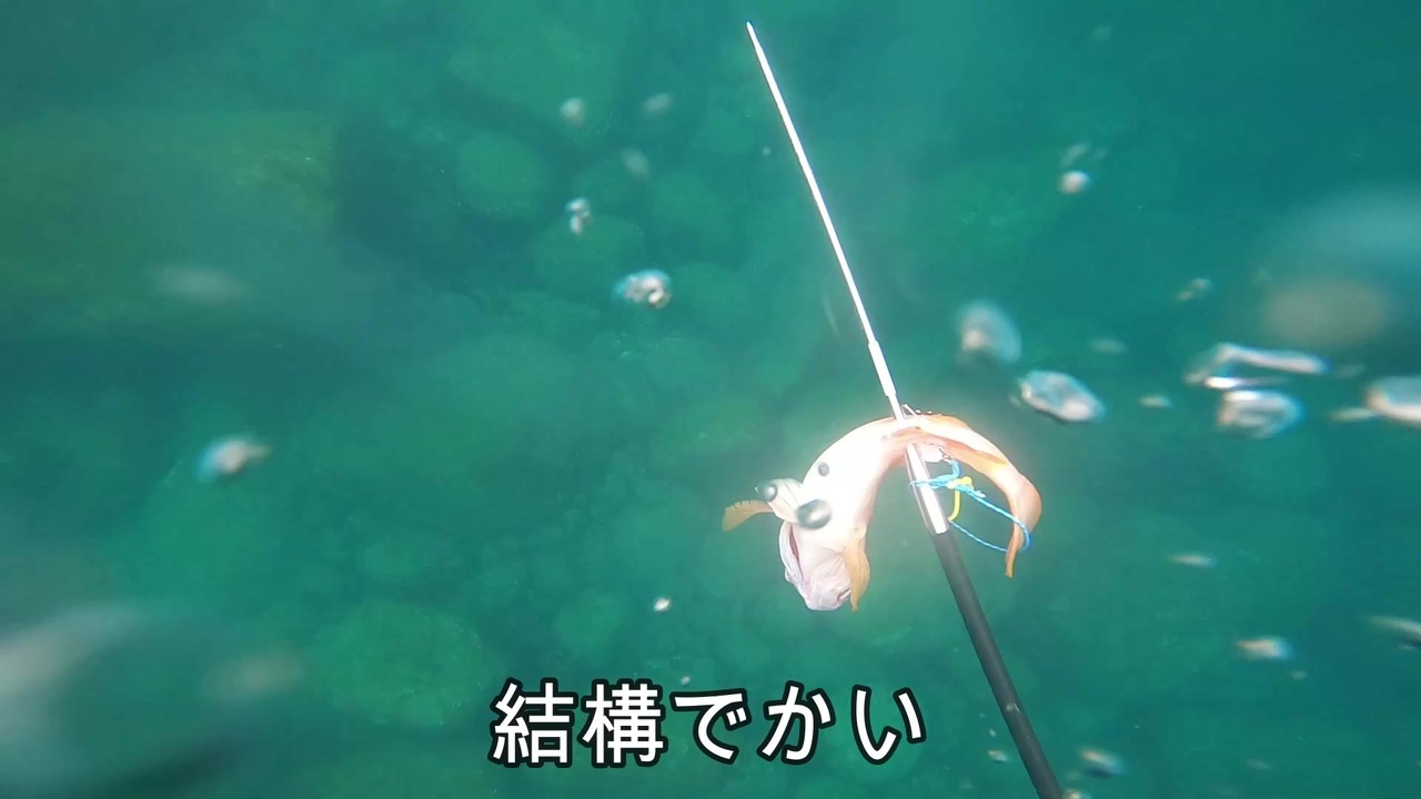人気の 自然 魚釣り 動画 5 446本 21 ニコニコ動画
