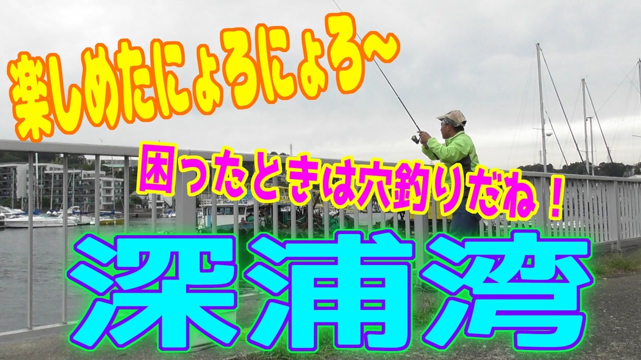 人気の 穴釣り 動画 25本 ニコニコ動画