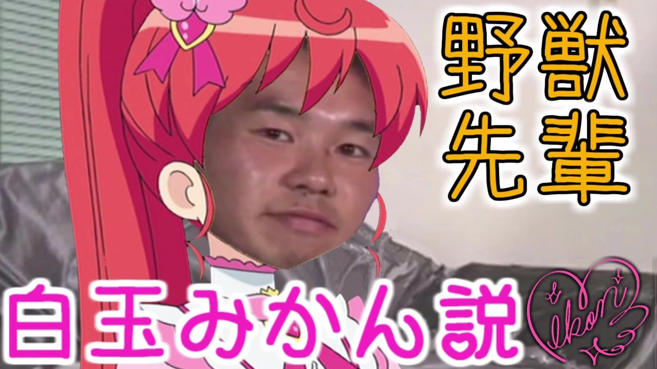 人気の プリパラ 淫夢 動画 454本 3 ニコニコ動画