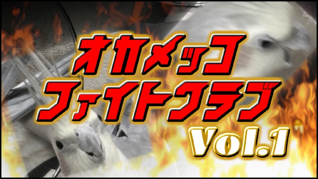 ガチンコ ファイト クラブ 竹中 竹中哲太の現在 ガチンコ ちりめん工場イケメンのヤラセ話 画像