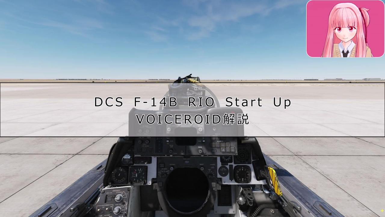 Dcs World F 14b Rio スタートアップ Voiceroid解説動画 ニコニコ動画