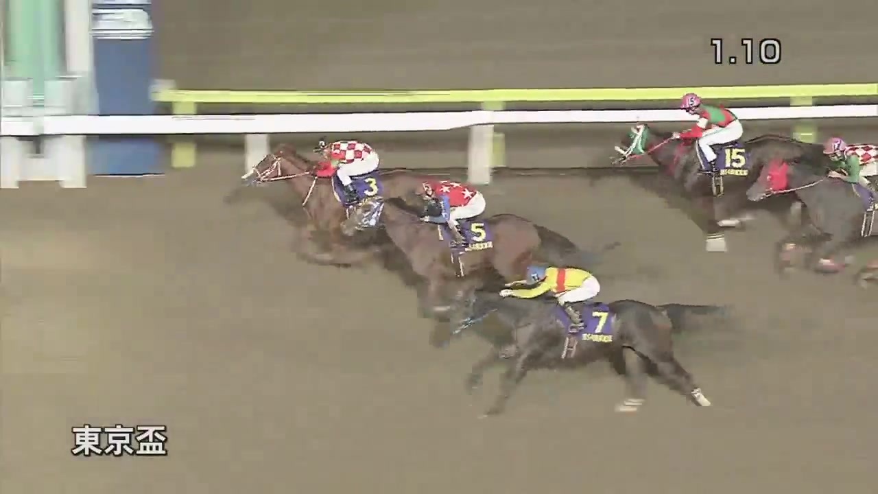 人気の 大井競馬 動画 954本 17 ニコニコ動画