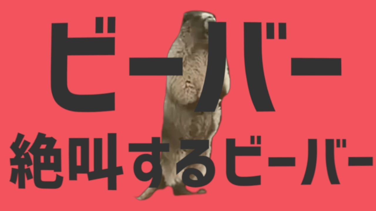 ビーバー絶叫するビーバー ニコニコ動画