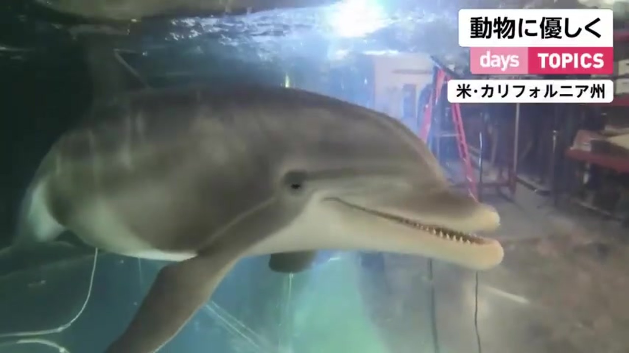 動物に優しく イルカ型ロボット アメリカ ニコニコ動画