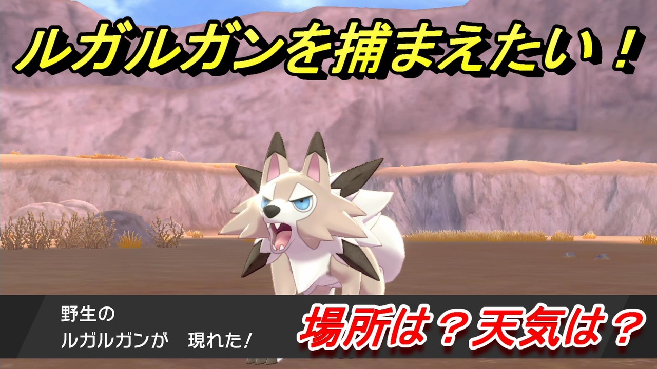 ポケモン 剣 盾 ルガルガン ソードシールド ルガルガン たそがれ の育成論 起点作り 削りのエキスパート ポケモン剣盾