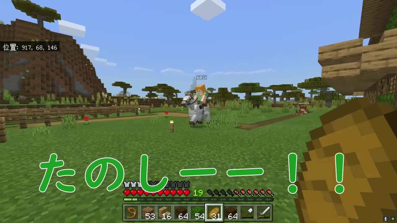 マイクラ実況 暴れすぎなんだよ ｗこの世界のクラフター達part5 ニコニコ動画