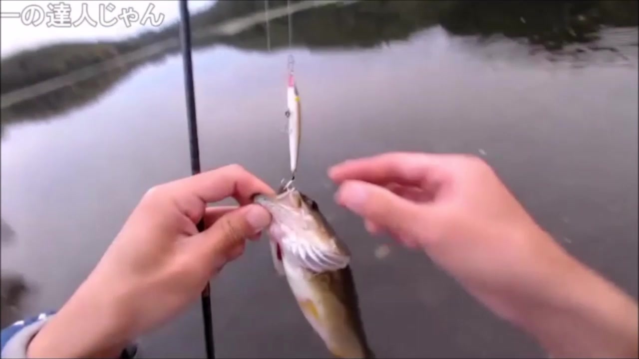 10 16 魚釣り 間違いだらけのバッシング ニコニコ動画