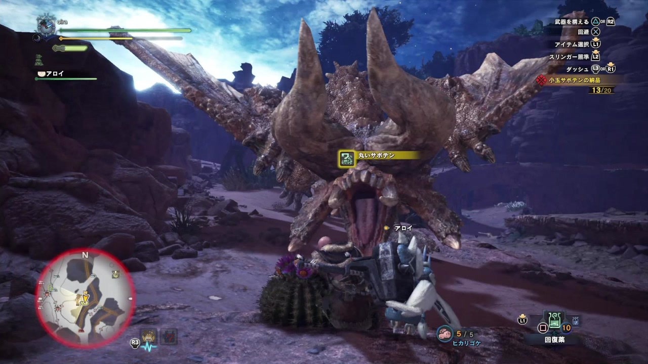 印刷可能 小玉 サボテン Mhw 小玉 サボテン Mhw Gambarsae4e7
