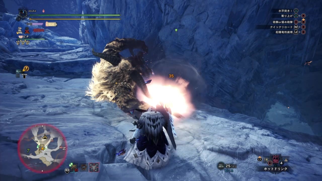 人気の 激昂したラージャン 動画 40本 ニコニコ動画