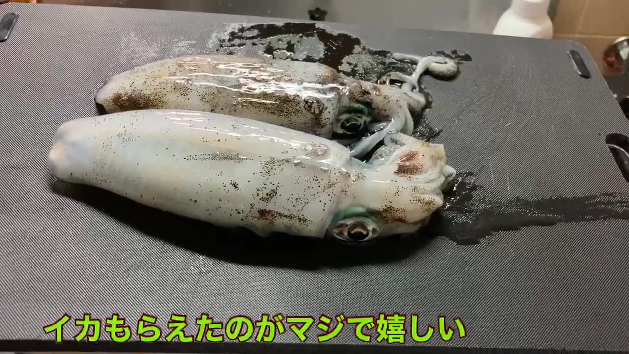 締めたイカと締めないイカの食べ比べ ニコニコ動画