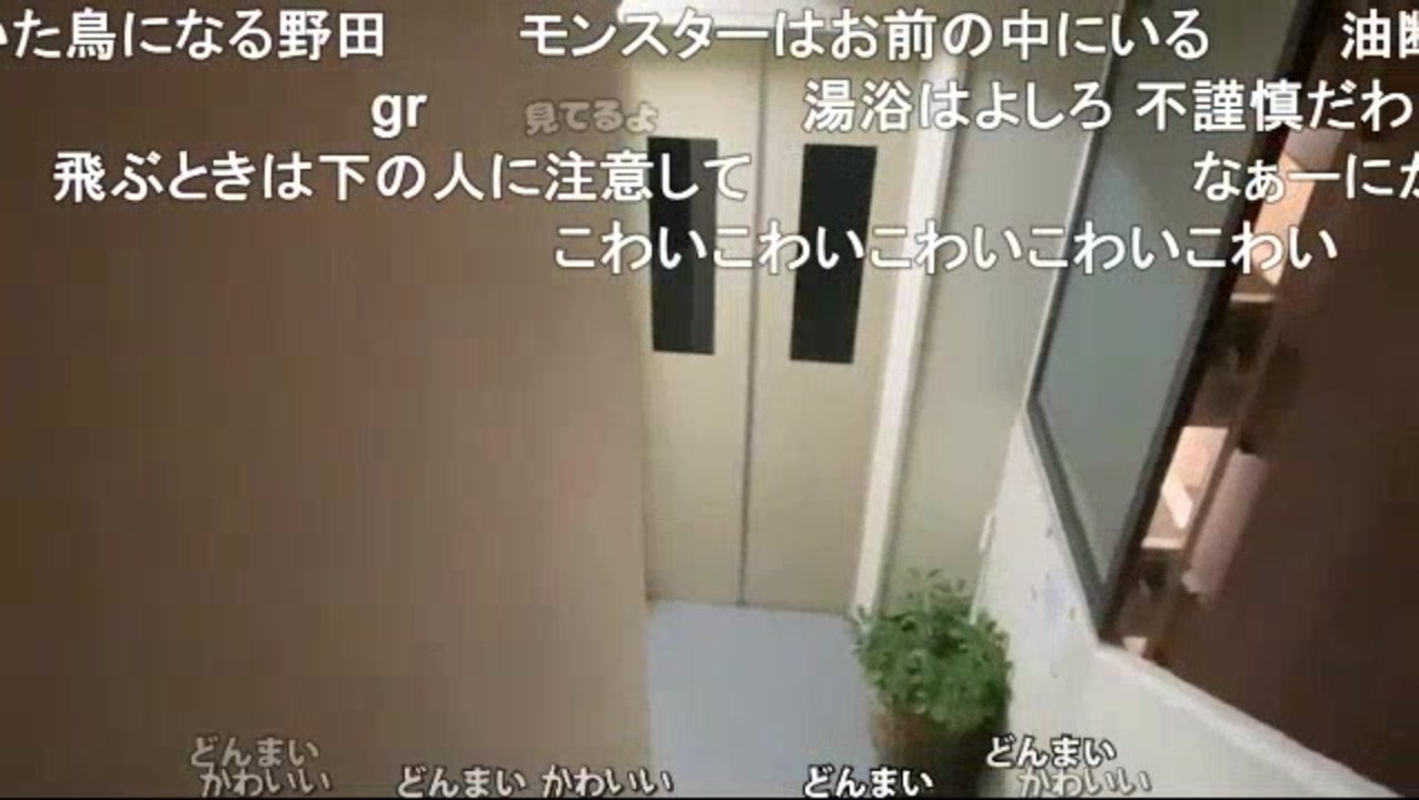 野田草履 夜中にピンポンダッシュされていた模様 ニコ生 ニコニコ動画