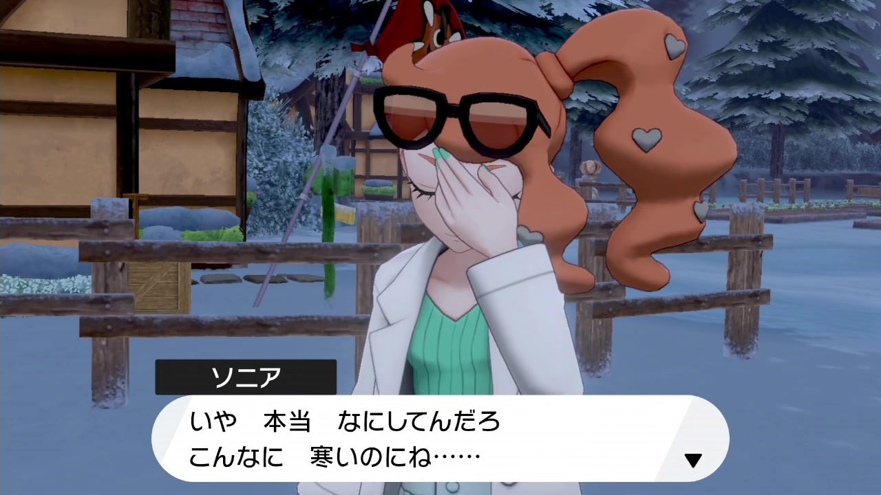 ポケモン剣盾 冠の雪原 ソニアと聖剣士 ニコニコ動画