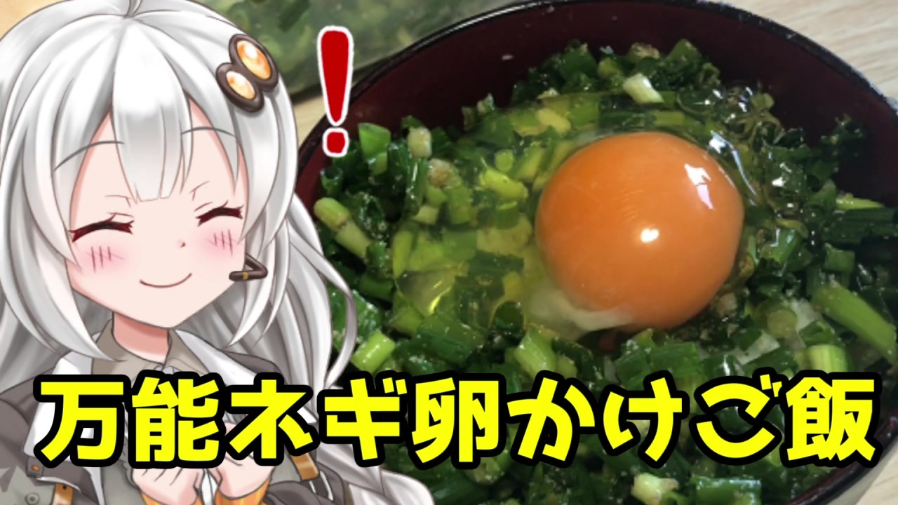 謝米祭 ネギ卵かけご飯 米の研ぎ方 家事初心者の多分美味しい料理 4 ニコニコ動画