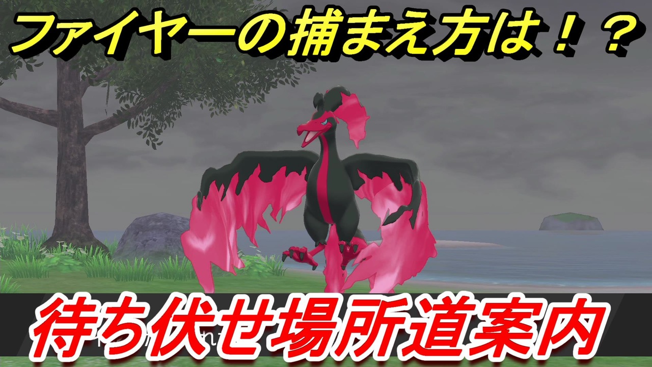 ポケモン剣盾 ファイヤーを簡単に捕まえる方法とは 待ち伏せ場所道案内 １３ 冠の雪原 ニコニコ動画