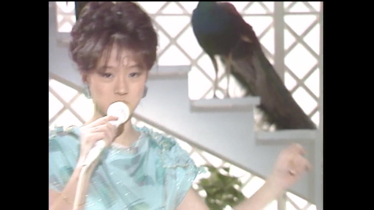 中森明菜 サザン・ウインド - ザ・ベストテン ② - ニコニコ動画