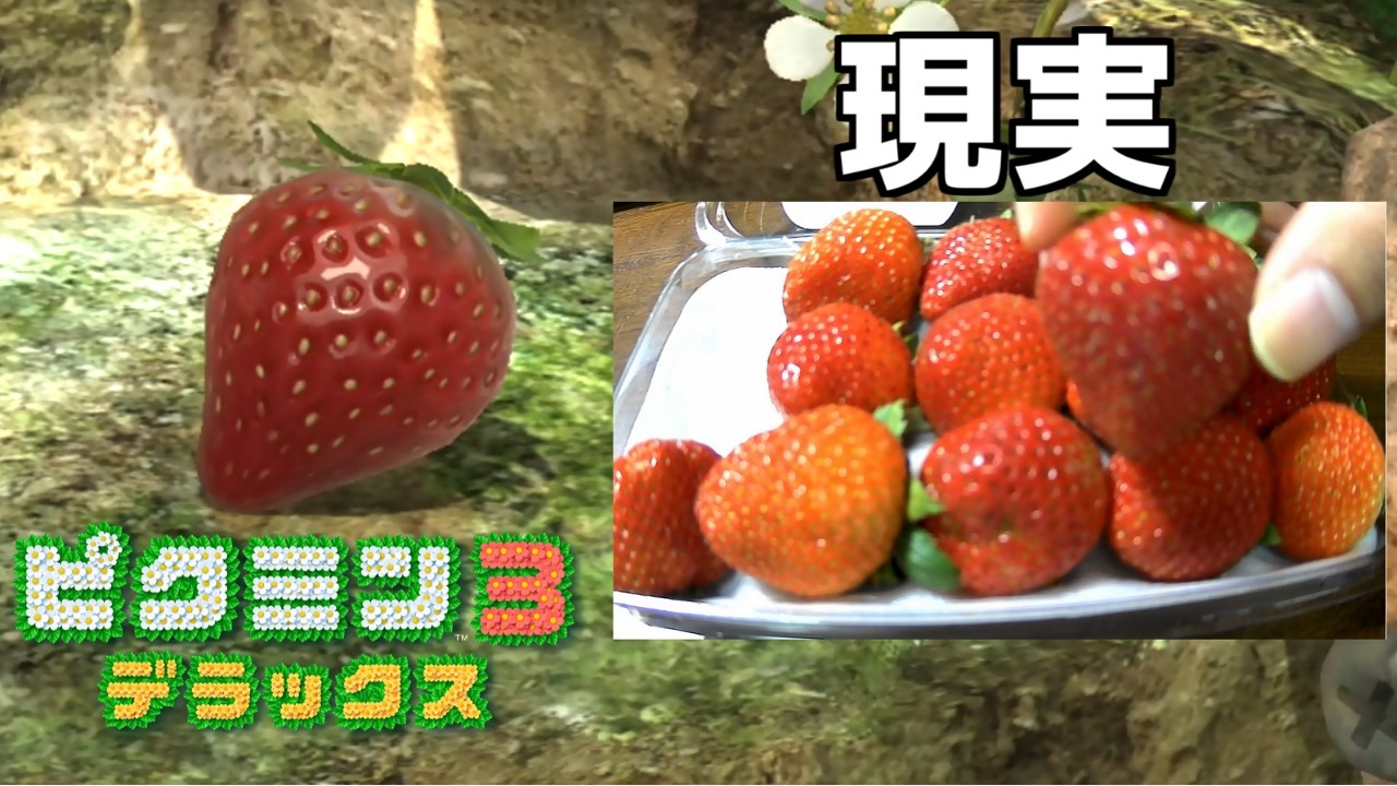 入手した果実を現実でも食べる ピクミン3実況 ニコニコ動画