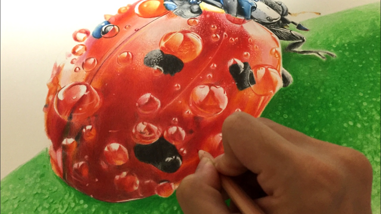 てんとう虫と水滴 を色鉛筆でリアルに描く ニコニコ動画