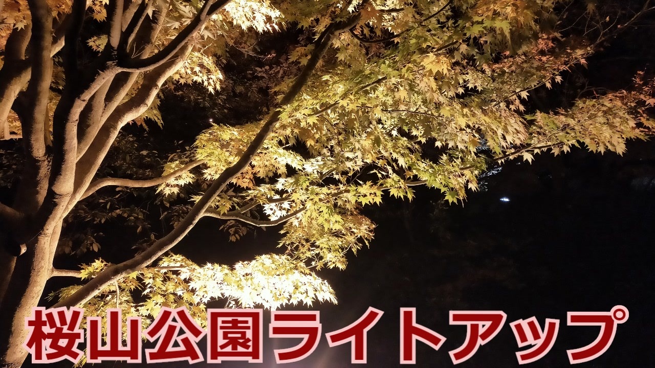 稲川写真館 桜山公園ライトアップ ニコニコ動画