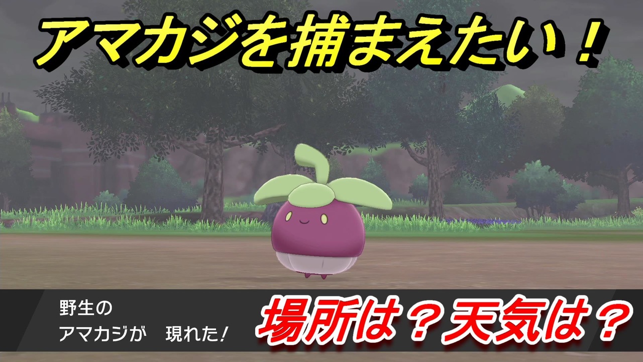 ポケモン剣盾 アマカジを捕まえる方法 オススメの場所は 天気は ポケモン図鑑コンプへの道 ポケモンソード シールド ニコニコ動画