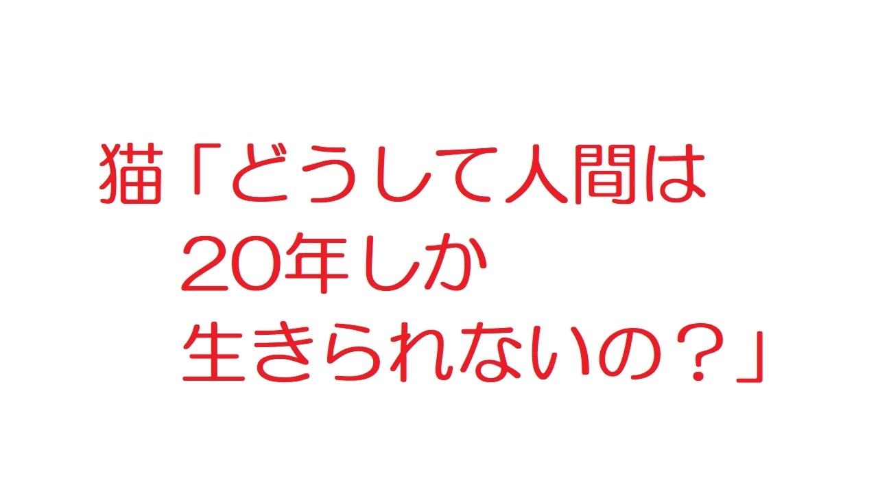 人気の 2ch 猫 動画 28本 ニコニコ動画