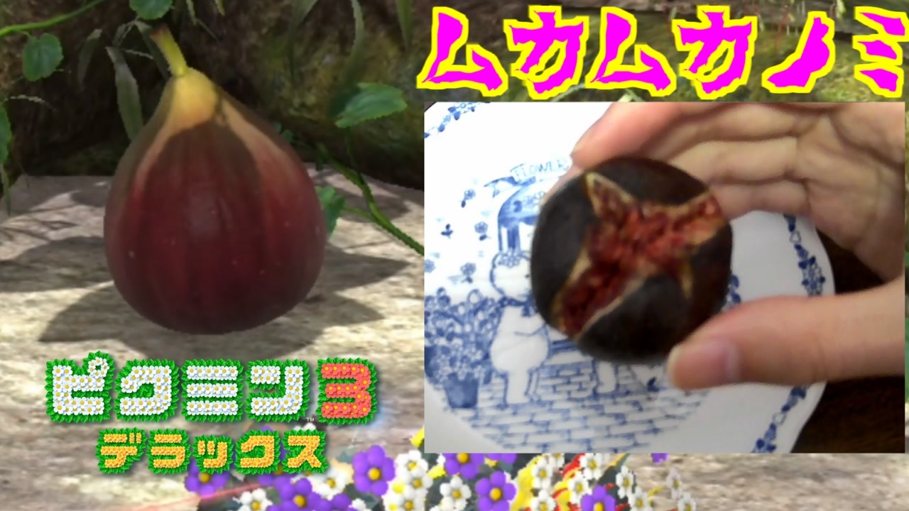 入手した果実を現実でも食べる ピクミン3実況 九日目 ニコニコ動画