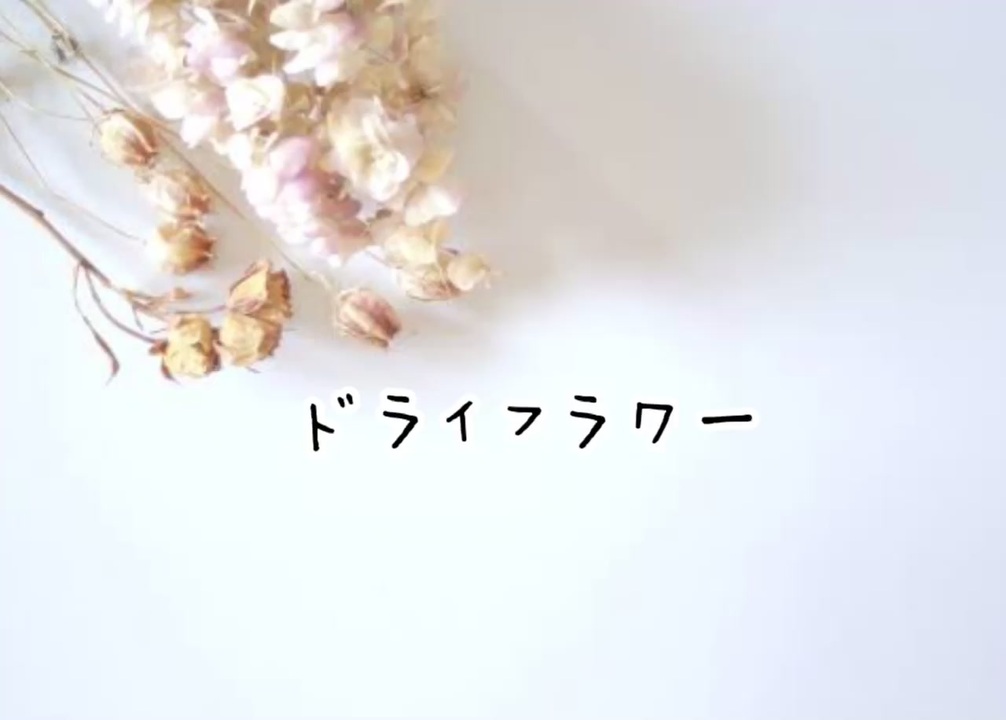 ドライ フラワー 優里 歌詞