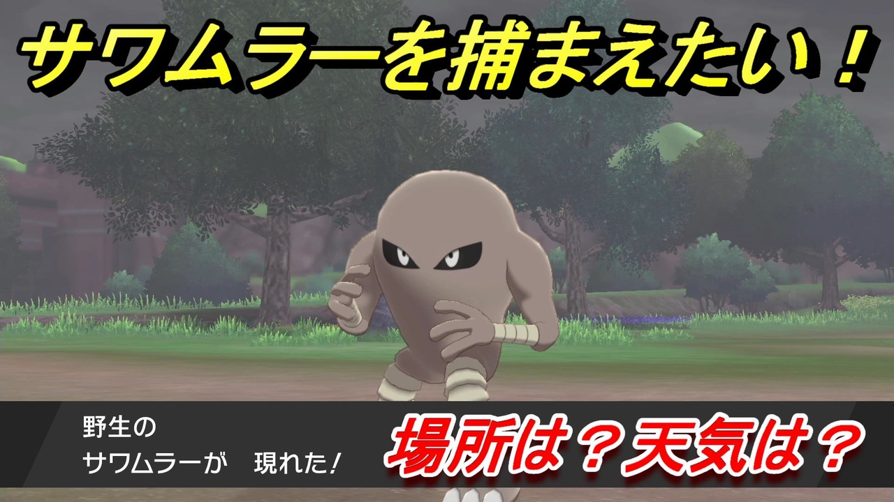 ポケモン剣盾 サワムラーを捕まえる方法 オススメの場所は 天気は ポケモン図鑑コンプへの道 ポケモンソード シールド ニコニコ動画
