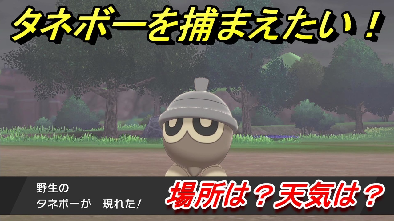 ポケモン剣盾 タネボーを捕まえる方法 オススメの場所は 天気は ポケモン図鑑コンプへの道 ポケモンソード シールド ニコニコ動画