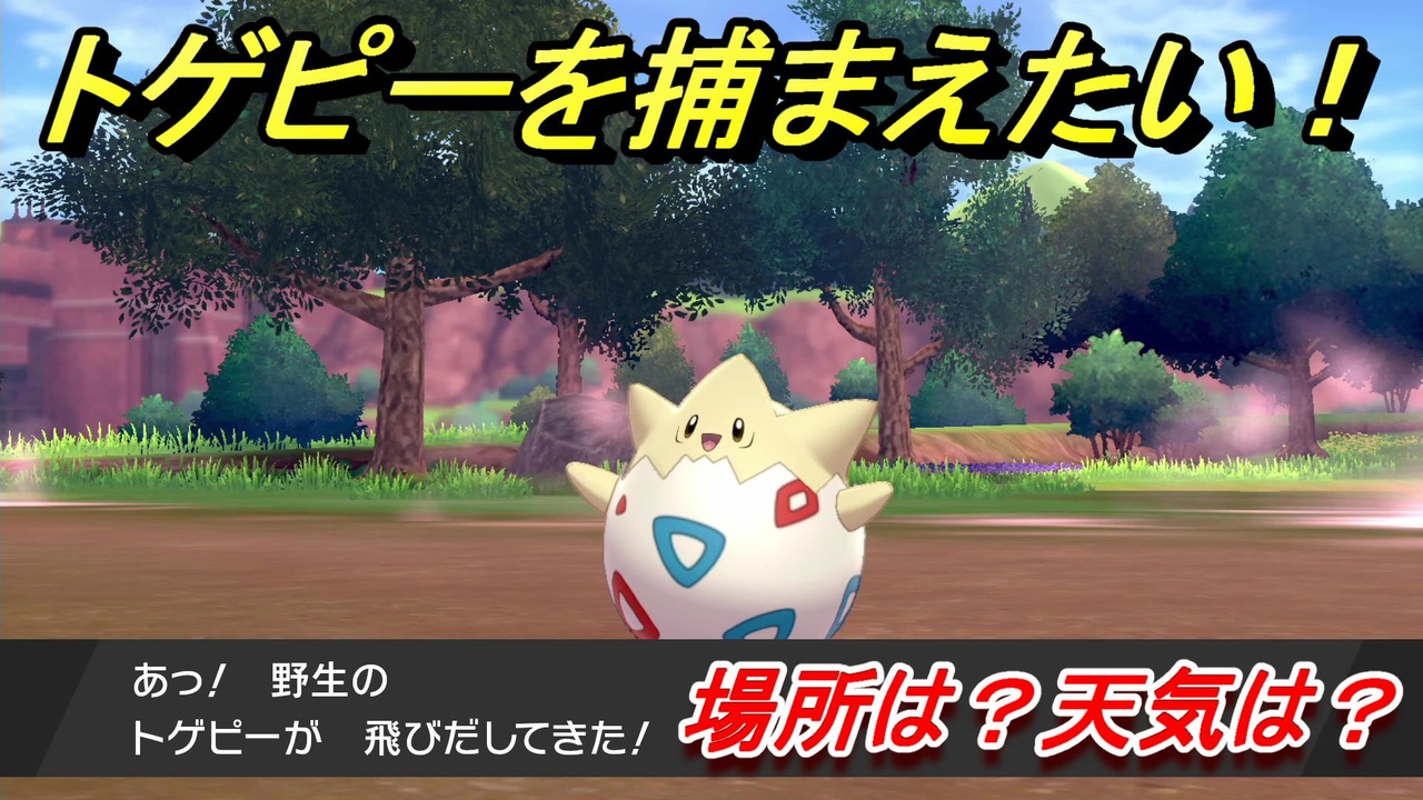 ポケモン ソード トゲピー