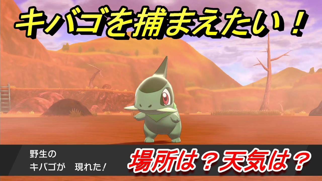 ポケモン剣盾 キバゴを捕まえる方法 オススメの場所は 天気は ポケモン図鑑コンプへの道 ポケモンソード シールド ニコニコ動画