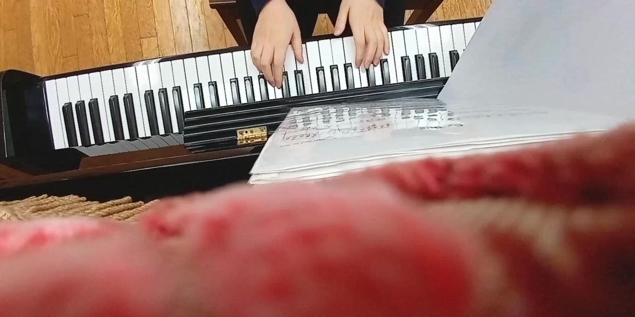 ポケモンの自転車bgm 本物のピアノで弾いてみた ニコニコ動画