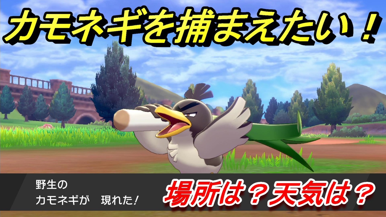 ポケモン剣盾 カモネギを捕まえる方法 オススメの場所は 天気は ポケモン図鑑コンプへの道 ポケモンソード シールド ニコニコ動画